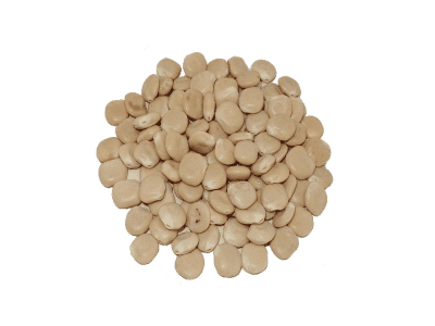 Altramuces