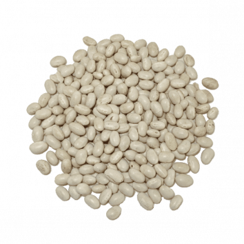 alubia arrocina