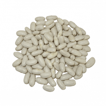 alubia blanca riñón