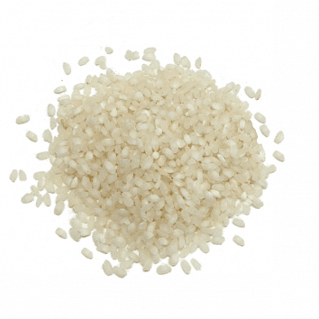 arroz albufera