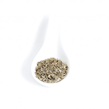 cilantro seco en hojas