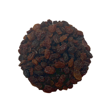 pasa sultana eco