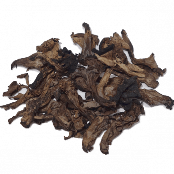 trompeta de la muerte deshidratada